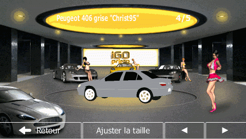 Peugeot_406_grise_Christ95.gif