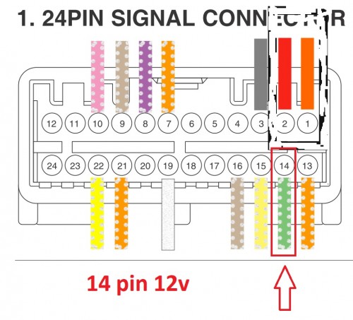 24pin.jpg