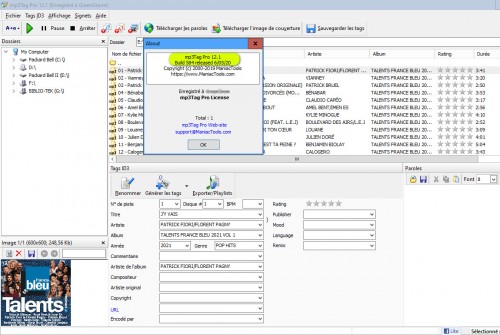 mp3Tag_pro_12.1.jpg