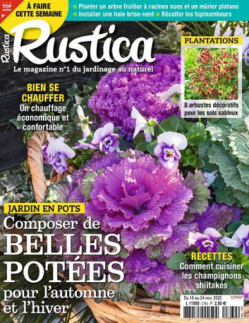 63757dea1641e901498204-rustica-19-novembre-2022.jpg