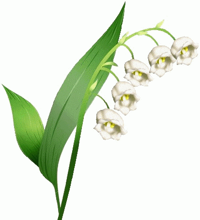 1-Brin-Muguet-Droit.gif