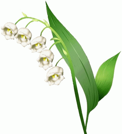 1-Brin-Muguet-Gauche.gif