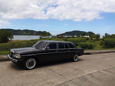 BEACH-VIEW-CENTRAL-AMERICA-MERCEDES-300D-W123-LANG.jpg