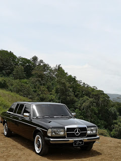 CARTAGO-MOUNTAIN-FOREST.-COSTA-RICA-300D-W123-LIMOUSINE.jpg