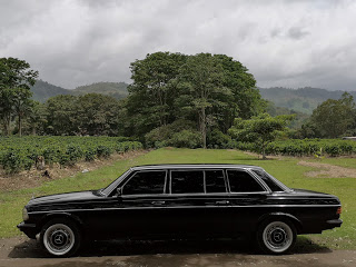 COSTA-RICA-COFFEE-FARM.-MERCEDES-W123-LANG-LIMO-RIDES.jpg