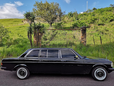 COSTA-RICA-MOUNTAIN-TOURS.-MERCEDES-W123-LIMO.jpg