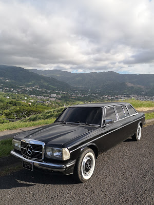 ESCAZU-MANSION-MOUNTAINS.-MERCEDES-W123-LIMO.jpg